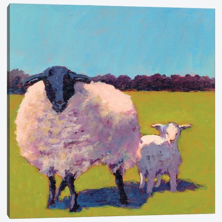 Sheep Pals III Canvas Print #CYO13} by Carol Young Canvas Wall Art