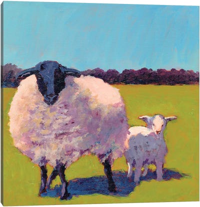 Sheep Pals III Canvas Art Print - Carol Young