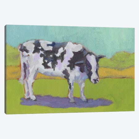 Pasture Cow I Canvas Print #CYO18} by Carol Young Canvas Art