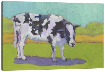 Pasture Cow I Canvas Art Print
