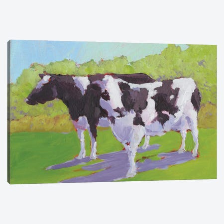 Pasture Cows II Canvas Print #CYO19} by Carol Young Canvas Art