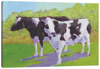 Pasture Cows II Canvas Art Print