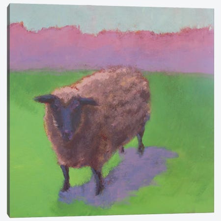 Pasture Sheep Canvas Print #CYO22} by Carol Young Canvas Art Print