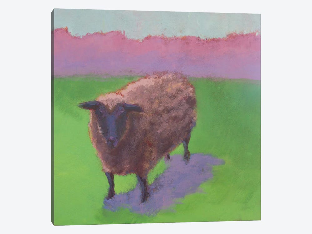 Pasture Sheep 1-piece Canvas Artwork