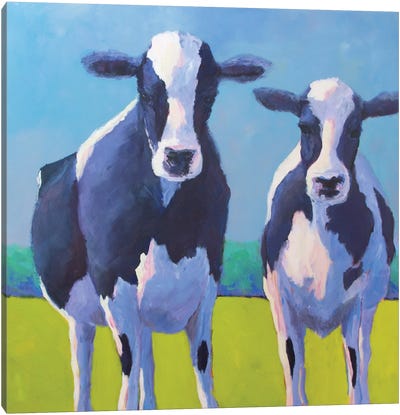 Cow Pals II Canvas Art Print - Carol Young