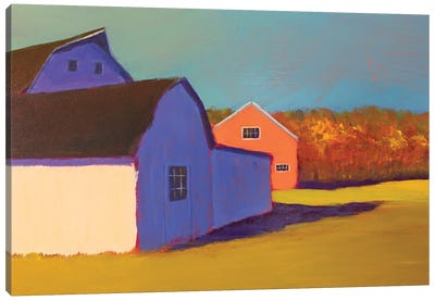 Bucolic Structure VII Canvas Art Print - Carol Young