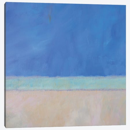 Wintergreen Sea I Canvas Print #CYO48} by Carol Young Canvas Art Print