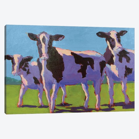 Cow Pals IV Canvas Print #CYO4} by Carol Young Canvas Wall Art