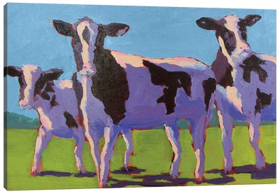 Cow Pals IV Canvas Art Print - Carol Young