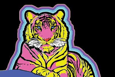 Cosmic Tiger by Corey Plumlee canvas print