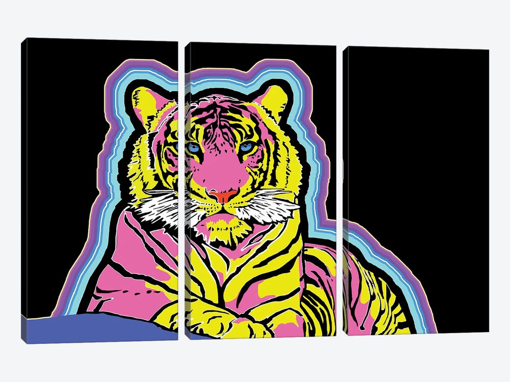 Cosmic Tiger by Corey Plumlee 3-piece Canvas Art