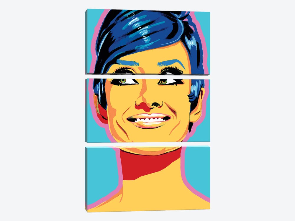 Audrey by Corey Plumlee 3-piece Canvas Wall Art