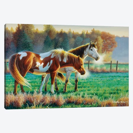 Horse Pasture Canvas Print #CYT104} by Cynthie Fisher Canvas Artwork