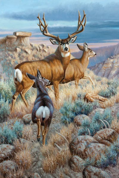 King Of The Breaks by Cynthie Fisher acrylic art print