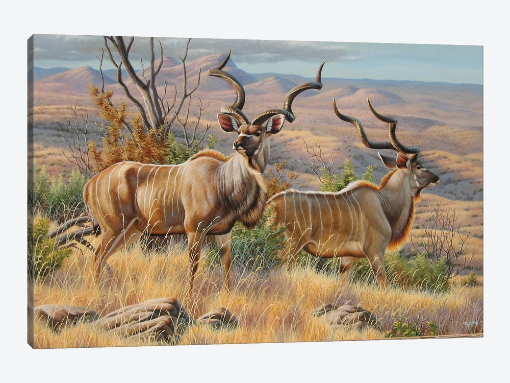 Kudu Bulls by Cynthie Fisher 1-piece Canvas Art Print