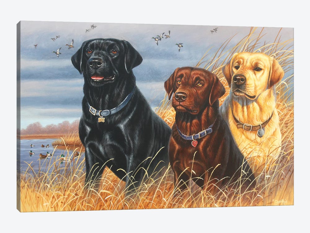 Labs by Cynthie Fisher 1-piece Canvas Artwork
