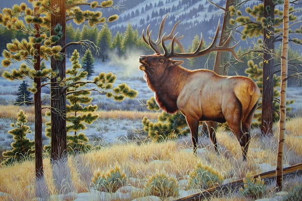 Deer: Late To The Dance by Cynthie Fisher