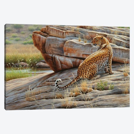 Leopard Canvas Print #CYT116} by Cynthie Fisher Canvas Art Print