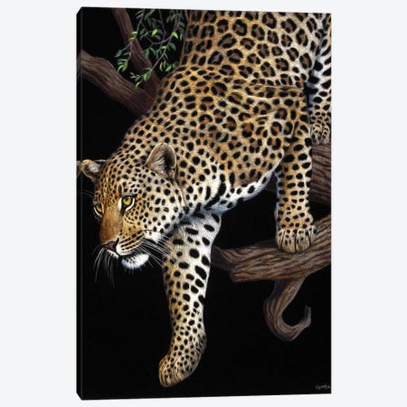 Leopard In Tree Canvas Print #CYT118} by Cynthie Fisher Canvas Wall Art