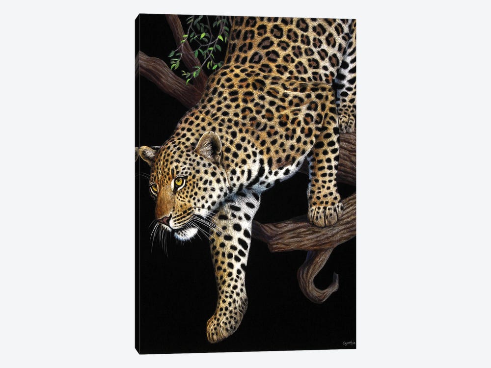 Leopard In Tree by Cynthie Fisher 1-piece Art Print