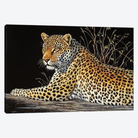 Leopard On Rock Canvas Print #CYT119} by Cynthie Fisher Canvas Artwork