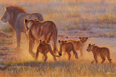Lion And Cubs by Cynthie Fisher acrylic art print