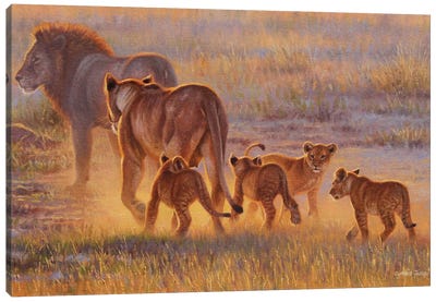 Lion And Cubs Canvas Art Print - Cynthie Fisher