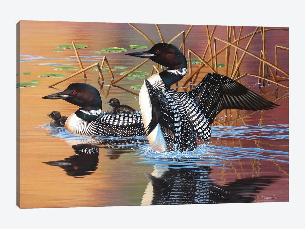 Loon Family by Cynthie Fisher 1-piece Art Print