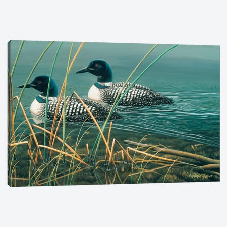 Loon Lake Canvas Print #CYT130} by Cynthie Fisher Canvas Art