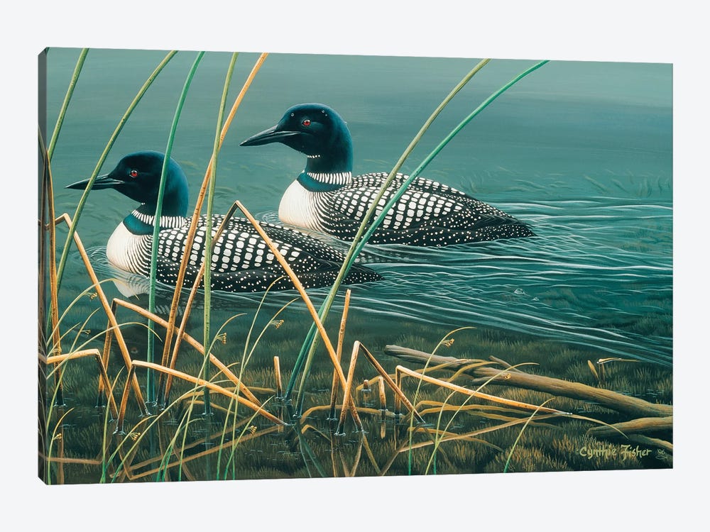 Loon Lake by Cynthie Fisher 1-piece Art Print