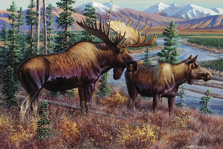 Moose by Cynthie Fisher wall art