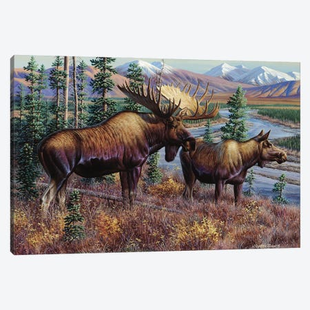 Moose Canvas Print #CYT138} by Cynthie Fisher Canvas Wall Art