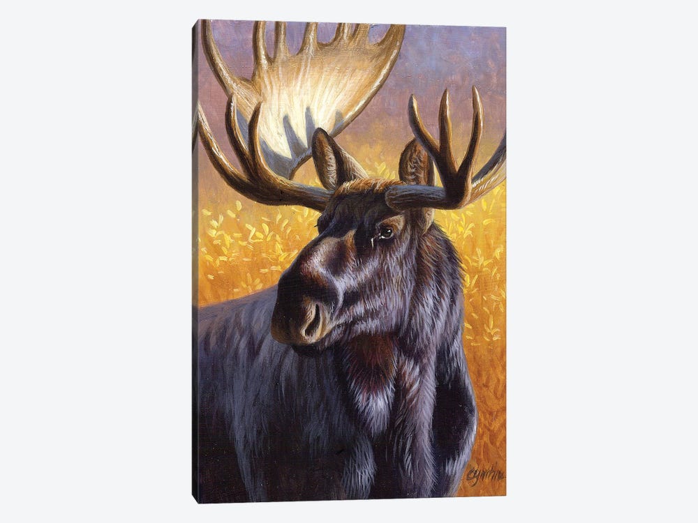Moose Portrait by Cynthie Fisher 1-piece Canvas Artwork