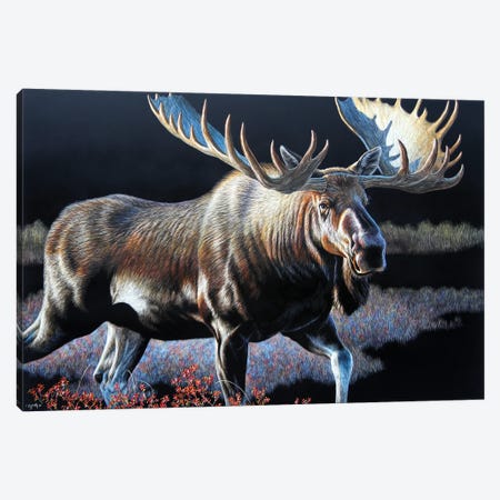 Moose Sb Canvas Print #CYT141} by Cynthie Fisher Art Print