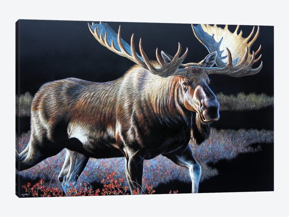 Moose Sb by Cynthie Fisher 1-piece Art Print