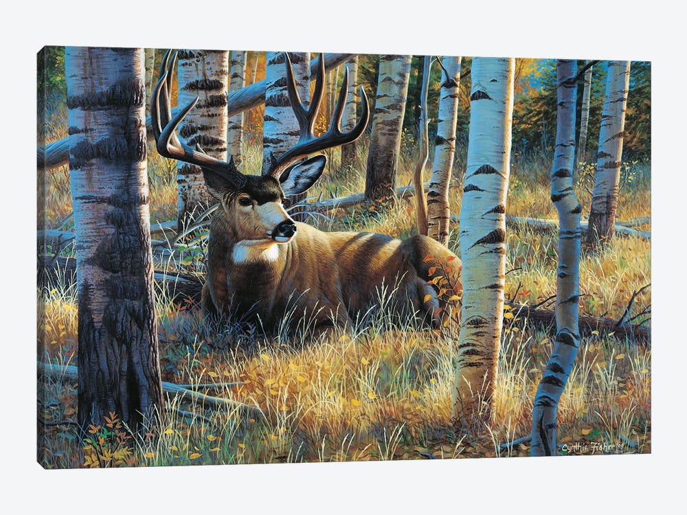 Mule Deer Seista by Cynthie Fisher 1-piece Canvas Art
