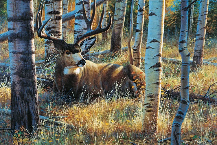 Mule Deer Seista