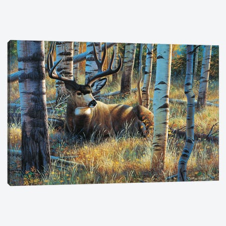 Mule Deer Seista Canvas Print #CYT144} by Cynthie Fisher Canvas Artwork