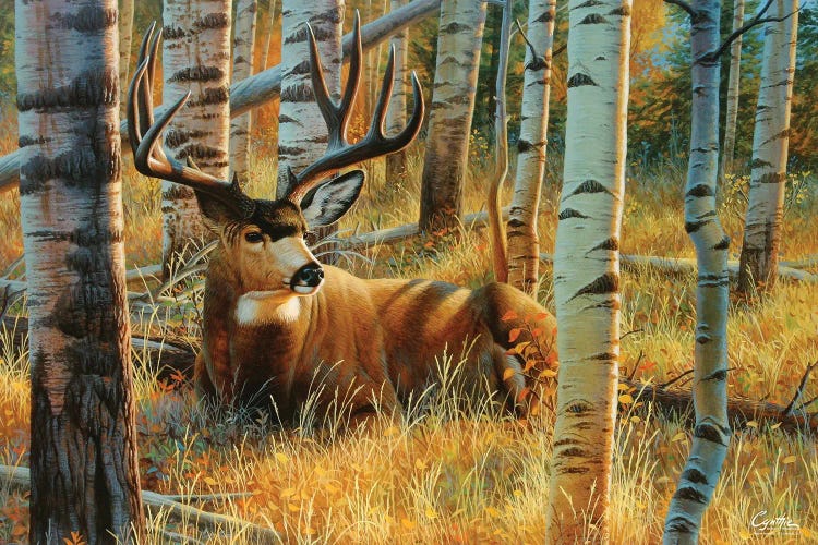 Muledeer by Cynthie Fisher wall art