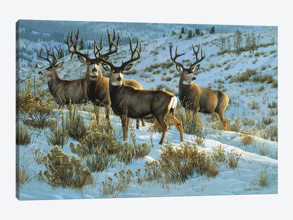 Muledeer Members Only by Cynthie Fisher 1-piece Canvas Art