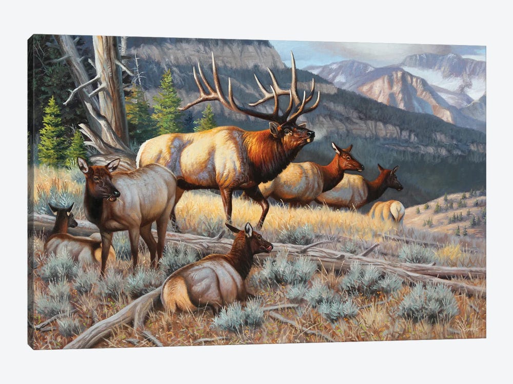 New Elk by Cynthie Fisher 1-piece Canvas Art Print