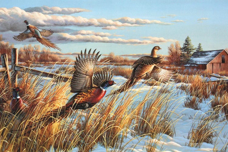 pheasant hunting paintings