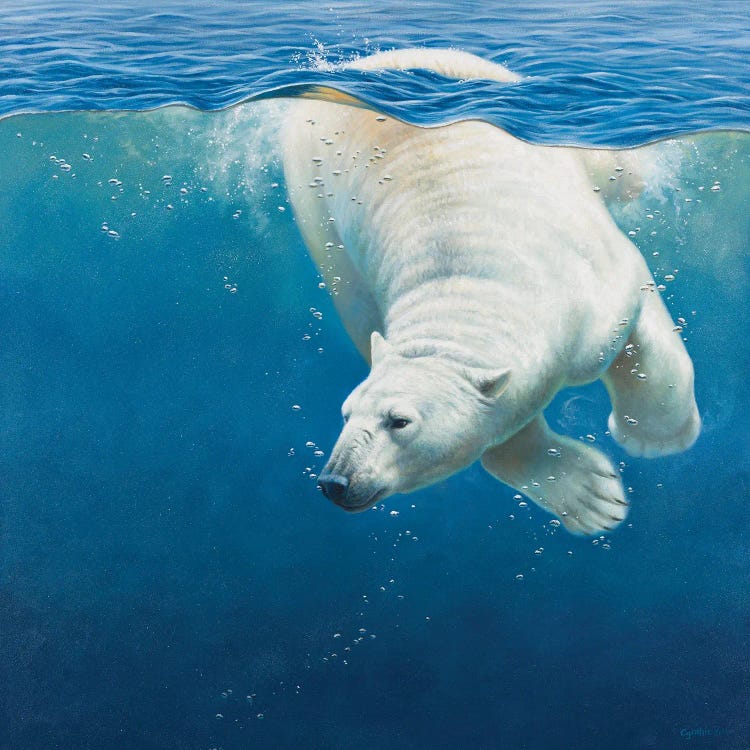 Polar Bear by Cynthie Fisher wall art