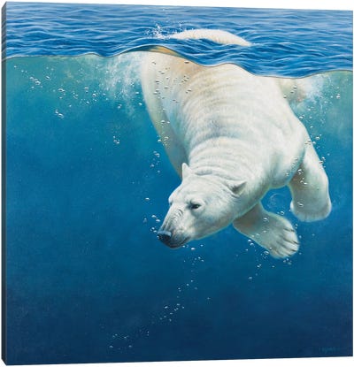 Polar Bear Canvas Art Print - Cynthie Fisher