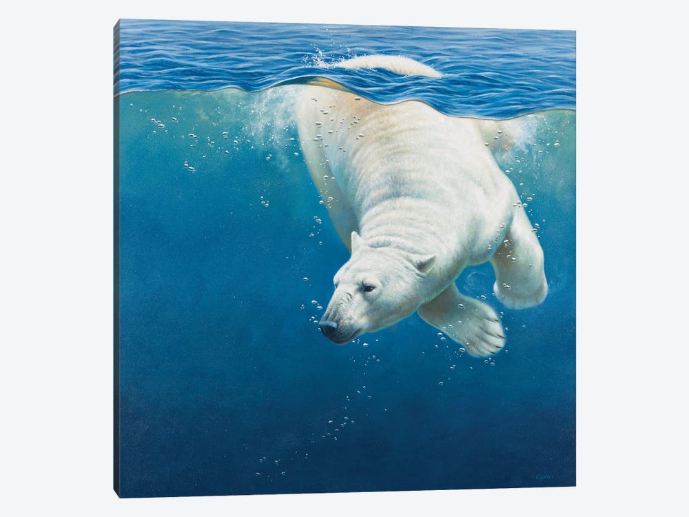 Polar Bear by Cynthie Fisher 1-piece Canvas Art Print