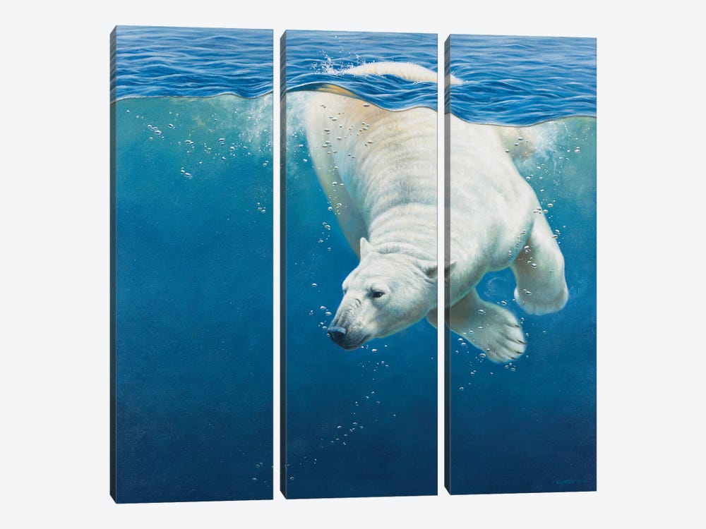 Polar Bear by Cynthie Fisher 3-piece Art Print