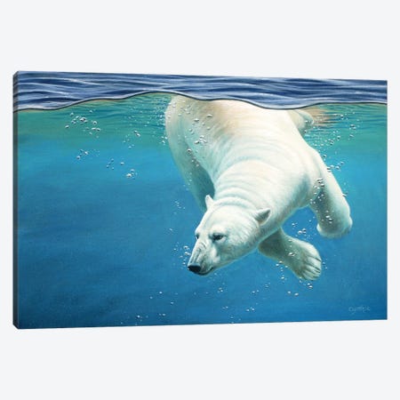 Polar Bear Underwater Canvas Print #CYT155} by Cynthie Fisher Canvas Print