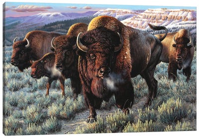 Prairie Thunder Canvas Art Print - Western Décor