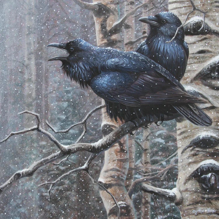 Ravens