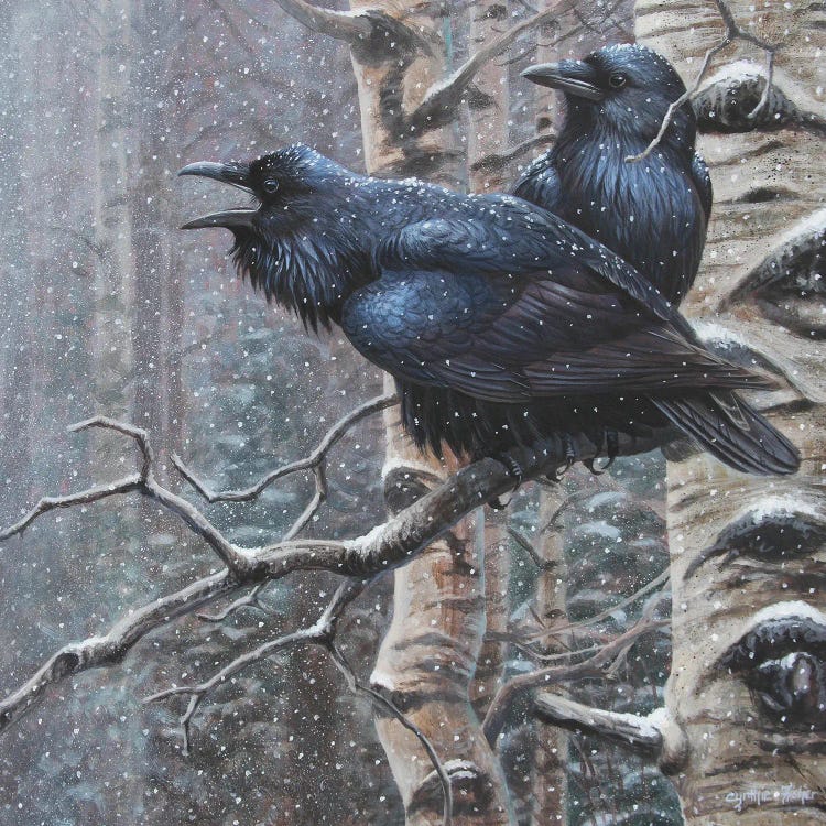 Ravens by Cynthie Fisher wall art